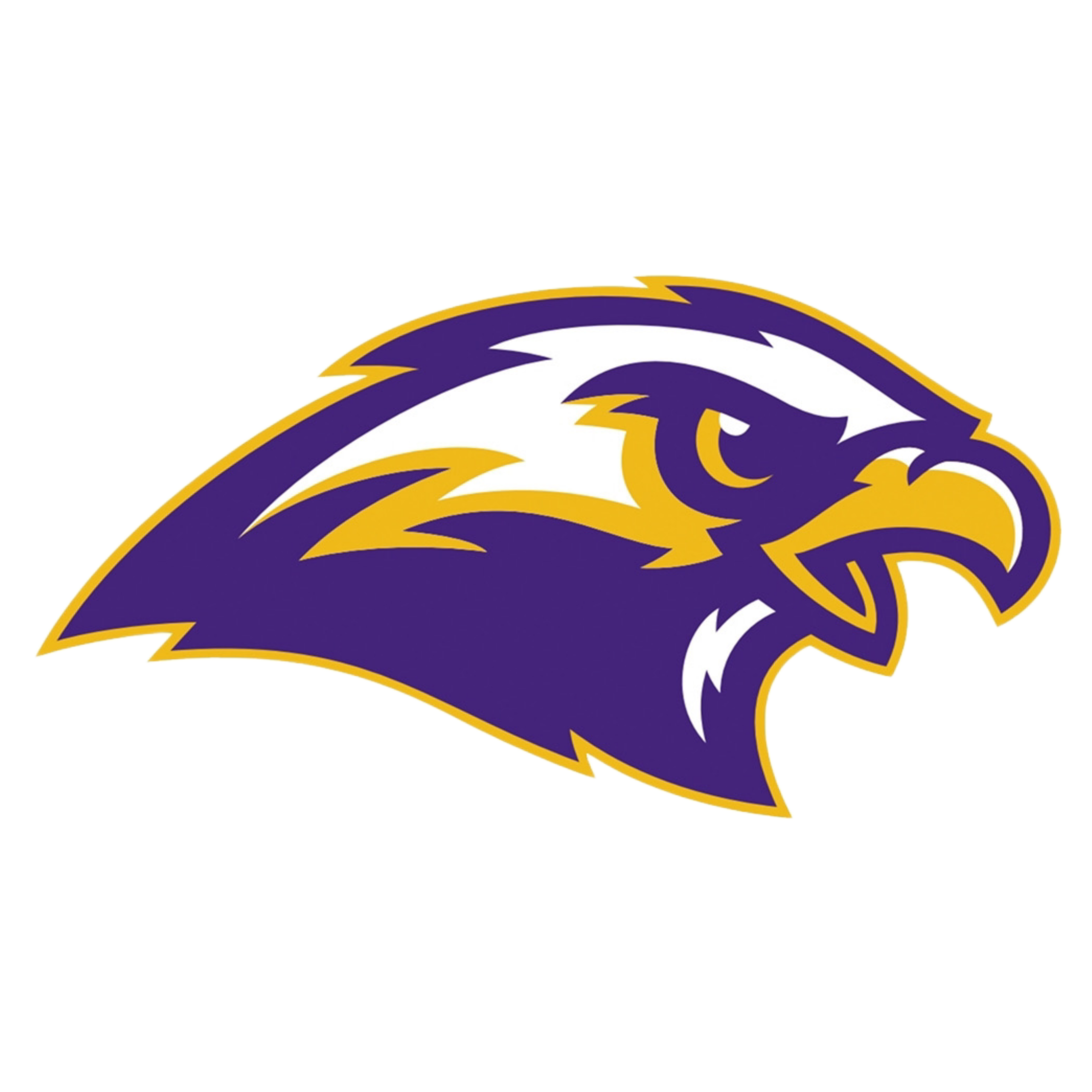 logo of FALCONS