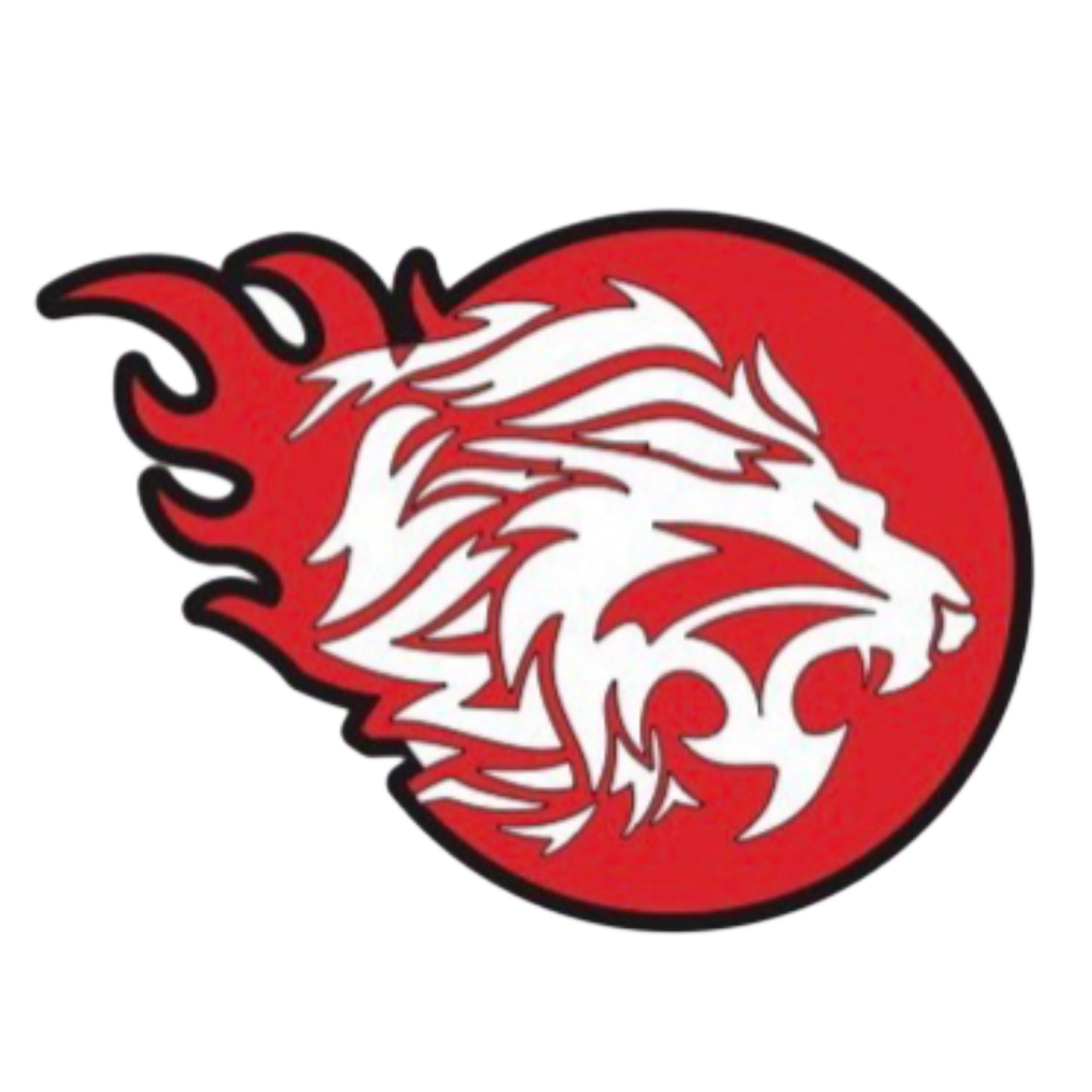 logo of RAGGAMUFFINS