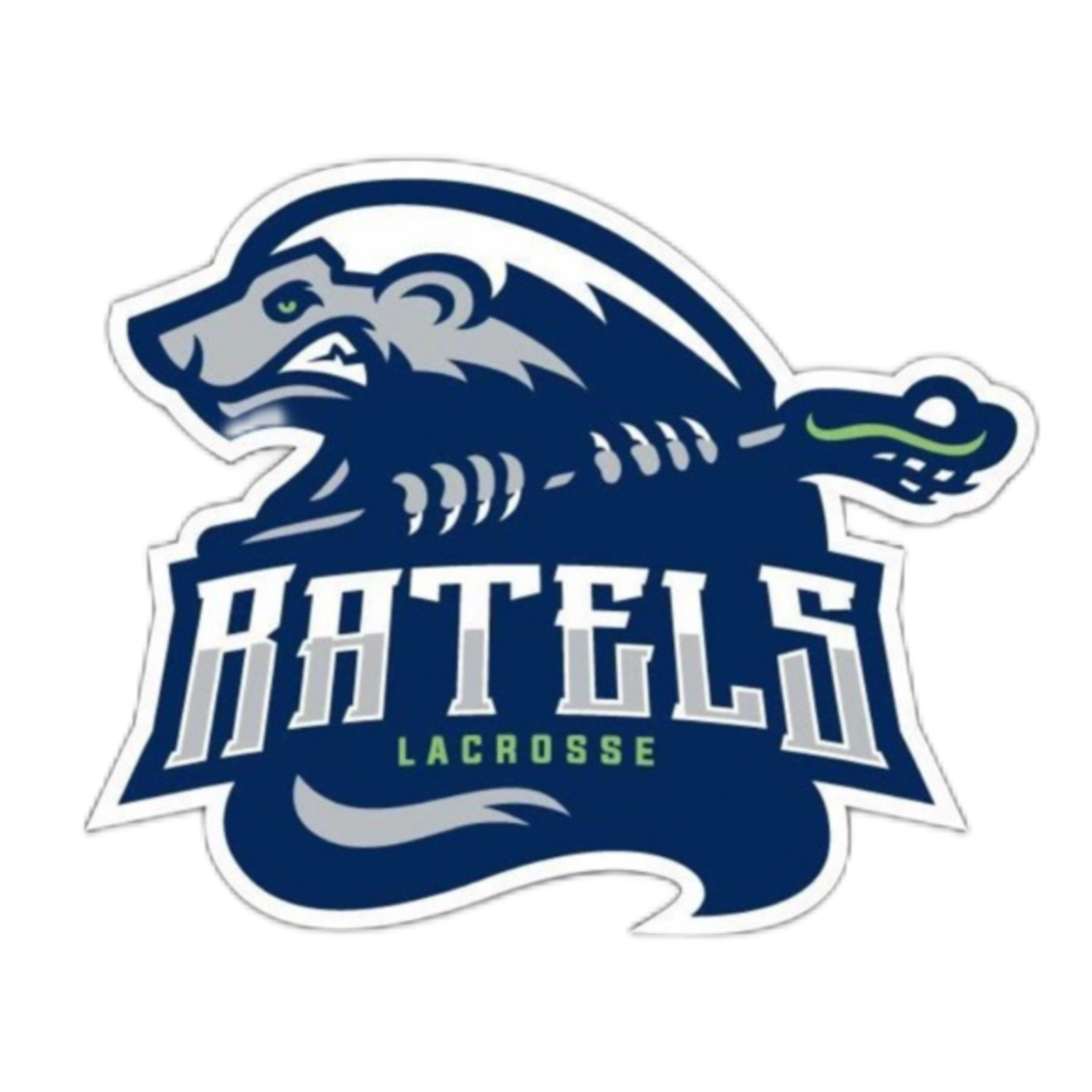logo of RATELS