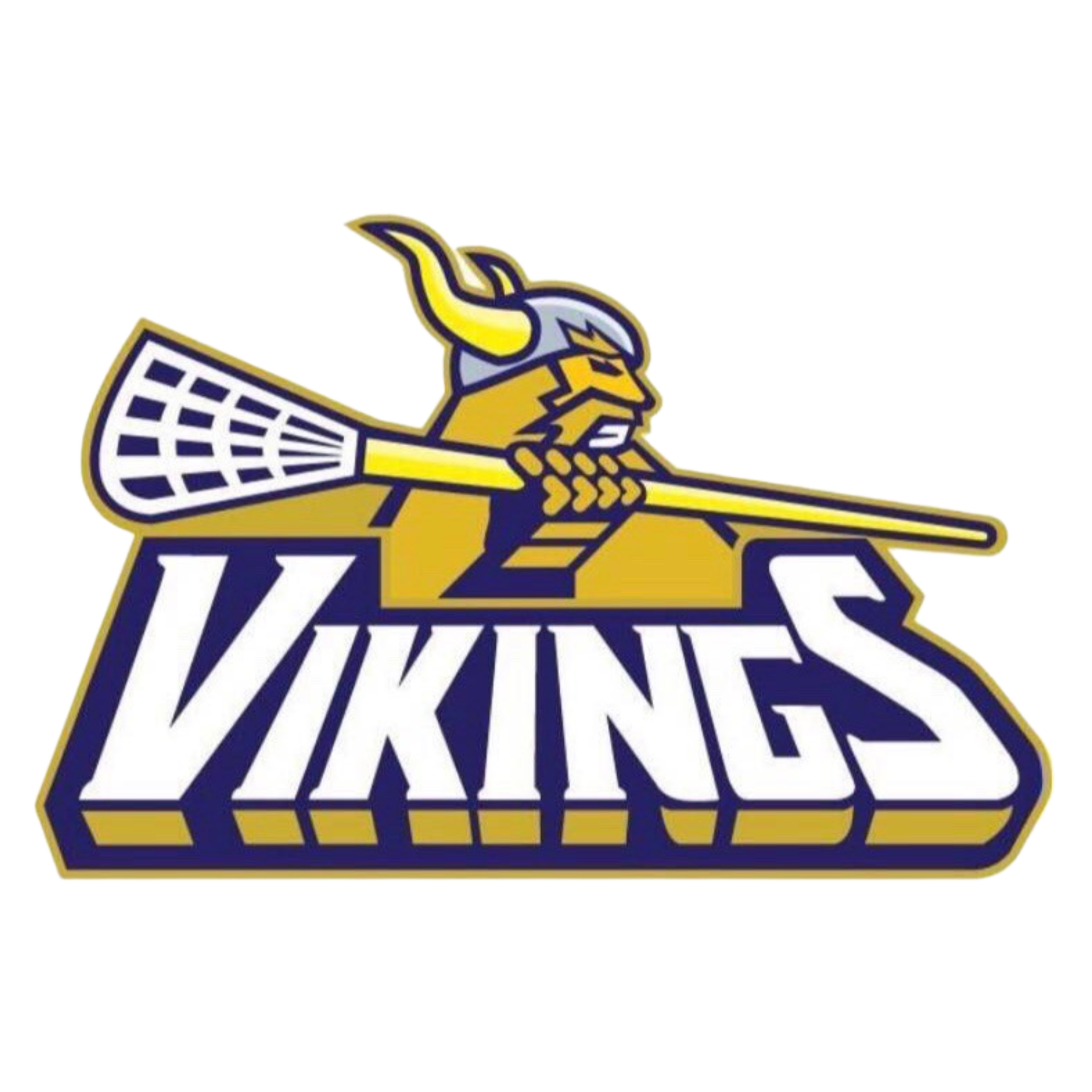 logo of VIKINGS