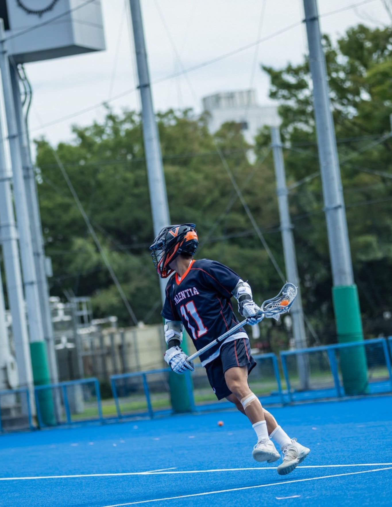 11_友成怜王樹_4